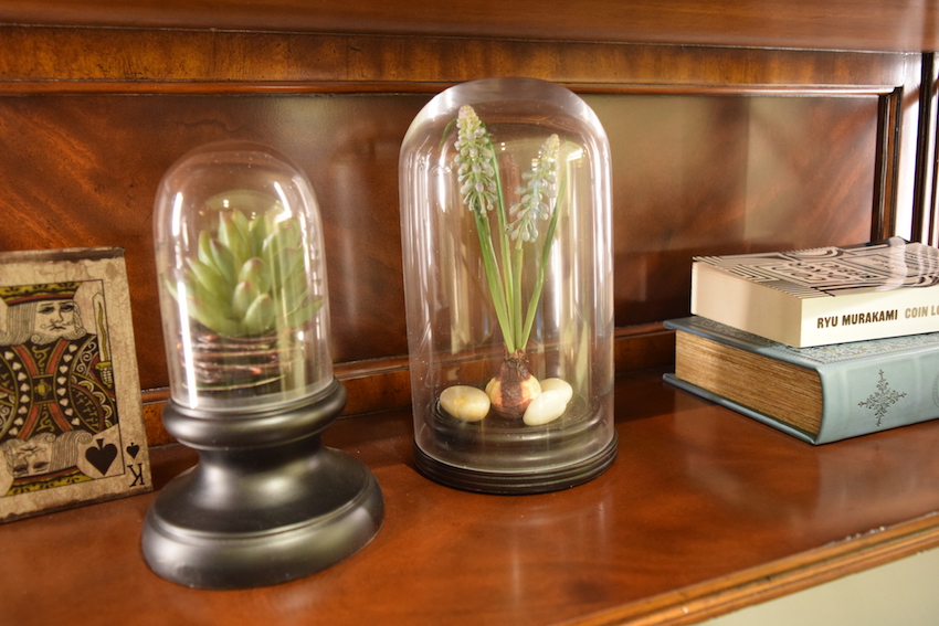 http://www.regency-j.com/blog/regency/PETITE%20GLASS%20CLOCHES%20Small%20and%20Medium_2.JPG