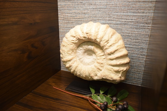 CAST AMMONITE FOSSIL MEDIUM_2.JPG